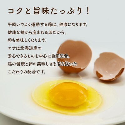 永光農園の平飼い有精卵　15個+割れ保証5個_hs259-051