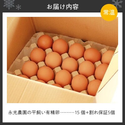 永光農園の平飼い有精卵　15個+割れ保証5個_hs259-051