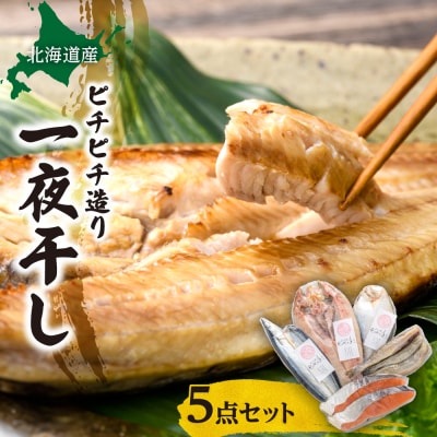 【北海道産】ピチピチ造り一夜干し　5点セット_hs049-004