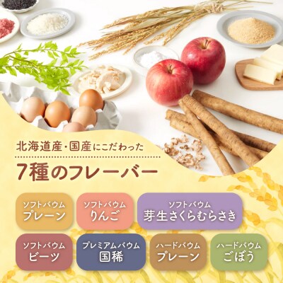 米粉バウムギフトセット(カット10ピース)_hs164-002