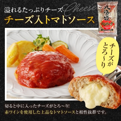 北海道ハンバーグセット_hs023-003