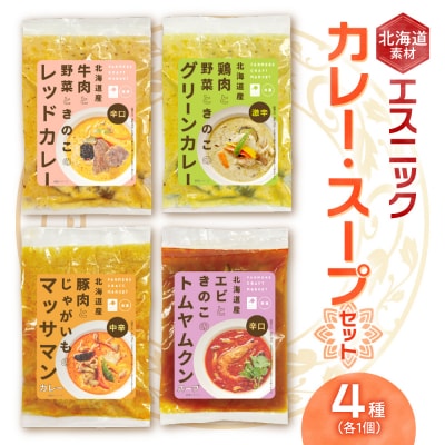 北海道素材エスニック(冷凍)カレー・スープセット_hs273-002