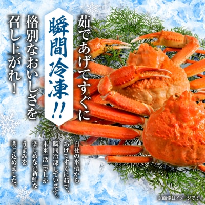 茹でたてズワイガニ姿(瞬間冷凍)650g×2尾_hs067-012