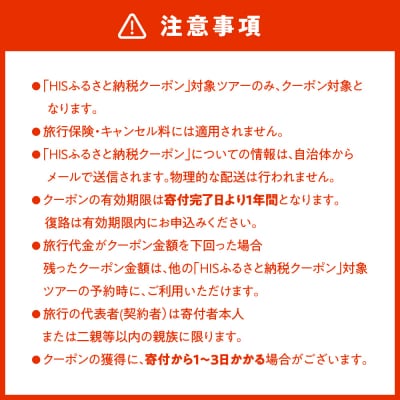 北海道札幌市の対象ツアーに使えるHISふるさと納税クーポン3,000円分_hs308-001