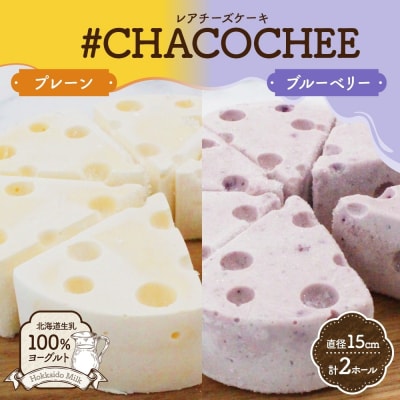 北海道 レアチーズケーキ 2種 セット プレーン ブルーベリー 計2ホール_hs307-004