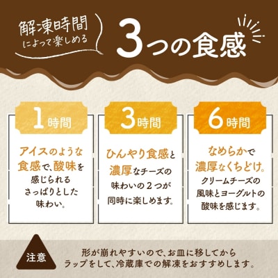 北海道 レアチーズケーキ プレーン 1ホール_hs307-001