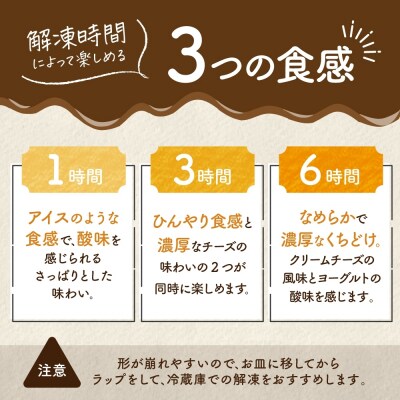 北海道 レアチーズケーキ ブルーベリー 1ホール_hs307-002