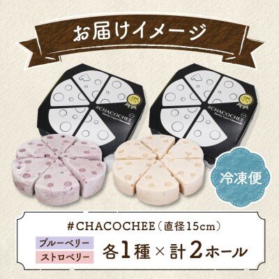 北海道 レアチーズケーキ 2種 セット ブルーベリー ストロベリー 計2ホール_hs307-006