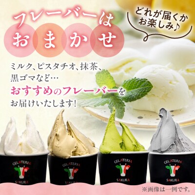 【定期便】幸せな牛のミルクからできたジェラート パティシエおまかせ6個セット×4_hs140-001