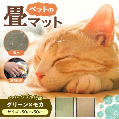 ペットの畳マット　50　グリーン×モカ_hs347-006