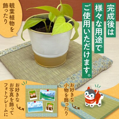 豆畳製作キット_hs347-009