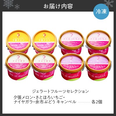 ジェラートフルーツセレクション_hs372-003