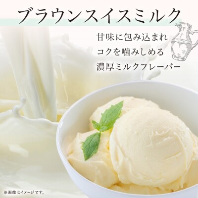 ジェラート ブラウンスイスミルク 500ml 2個_hs309-001