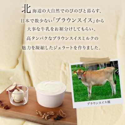 ジェラート ブラウンスイスミルク 500ml 2個_hs309-001