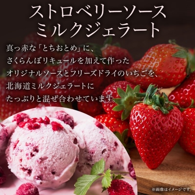 ジェラート ストロベリーソースミルクジェラート 500ml 2個_hs309-002