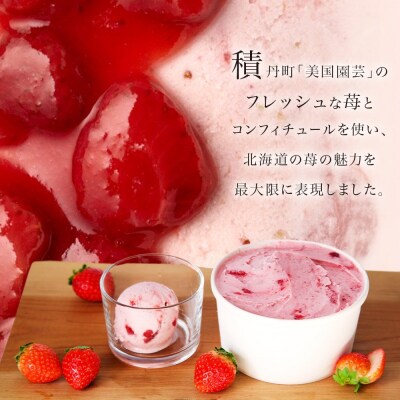 ジェラート ストロベリーソースミルクジェラート 500ml 2個_hs309-002