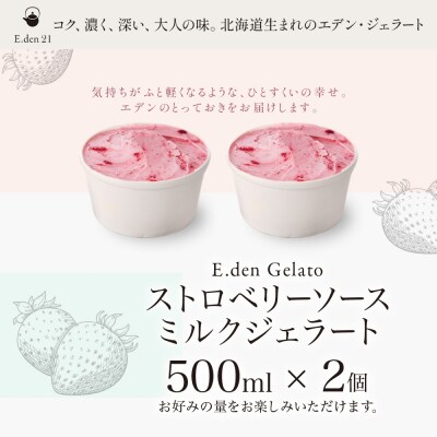 ジェラート ストロベリーソースミルクジェラート 500ml 2個_hs309-002
