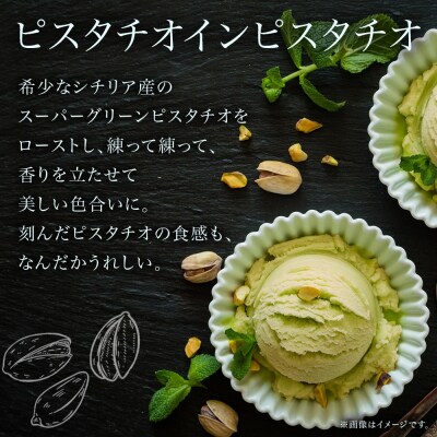 ジェラート ピスタチオインピスタチオ 500ml 2個_hs309-004