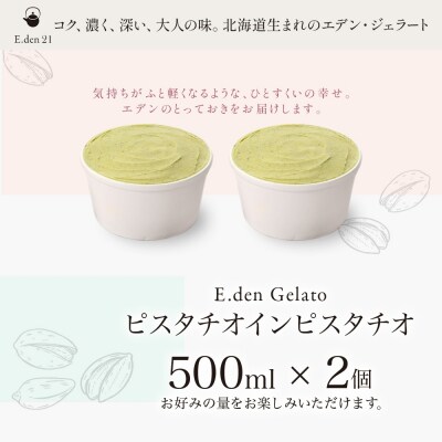 ジェラート ピスタチオインピスタチオ 500ml 2個_hs309-004