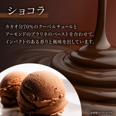 ジェラート ショコラ 500ml 2個_hs309-006