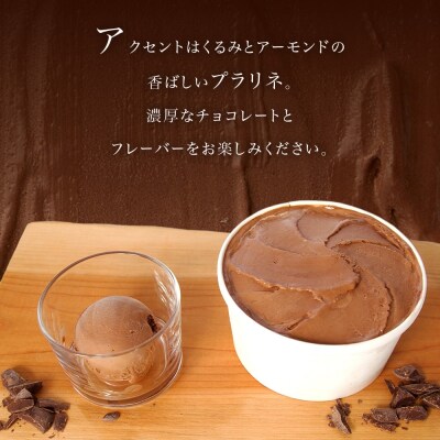 ジェラート ショコラ 500ml 2個_hs309-006