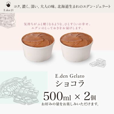 ジェラート ショコラ 500ml 2個_hs309-006