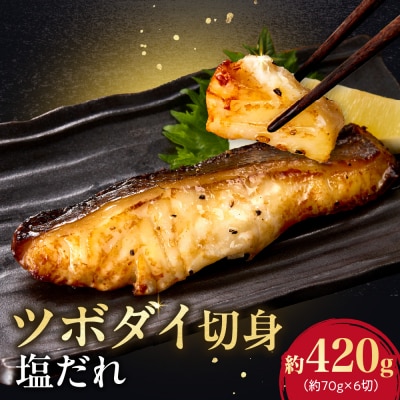 ツボダイ切身塩だれ 約210g×2_hs027-049