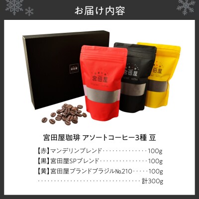 宮田屋珈琲　アソートコーヒー3種(豆)_hs433-001