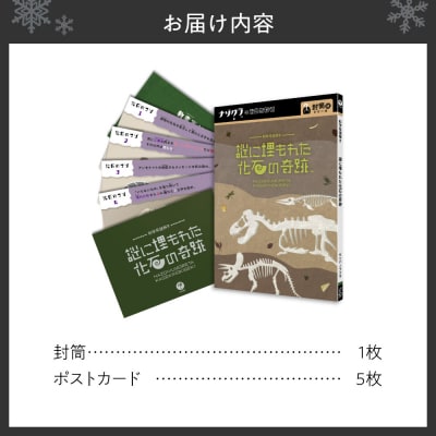 謎解きゲーム『科学系謎解き 謎に埋もれた化石の奇跡』_hs416-018