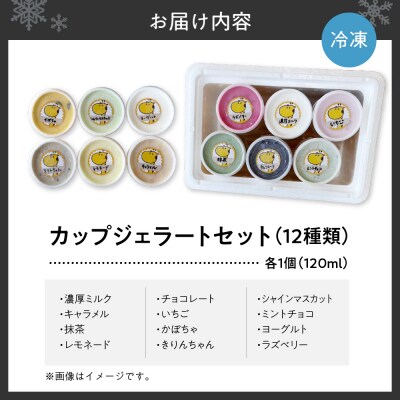 カップジェラートセット(12種類)_hs417-002