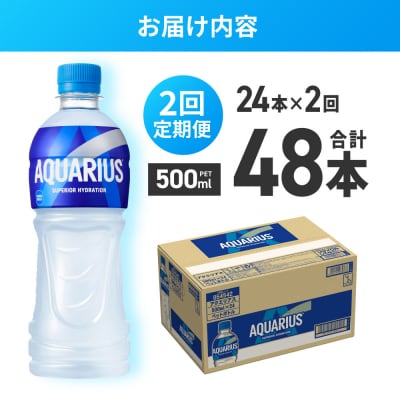 【2ヶ月定期便】アクエリアス500mlPET×24本_hs137-098