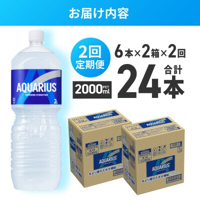 【2ヶ月定期便】アクエリアス　2000mlPET×12本_hs137-100