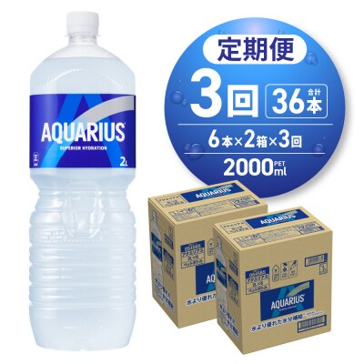 【3ヶ月定期便】アクエリアス　2000mlPET×12本_hs137-101