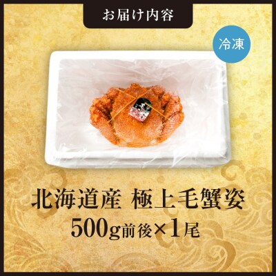 極上毛蟹姿　500g前後×1尾_hs408-001