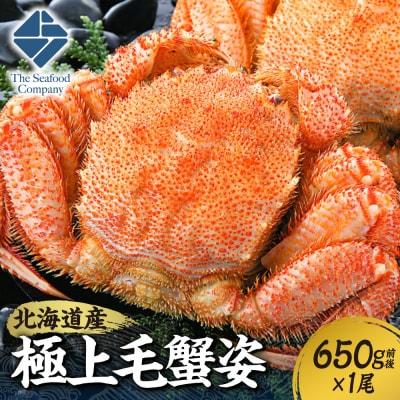 極上毛蟹姿　650g前後×1尾_hs408-006