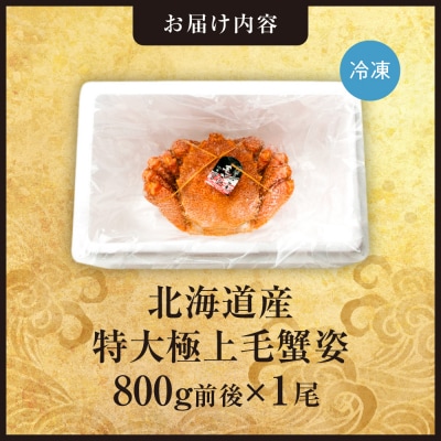 特大極上毛蟹姿　800g前後×1尾_hs408-011