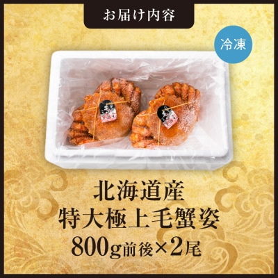 特大極上毛蟹姿　800g前後×2尾セット_hs408-012