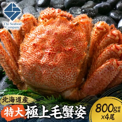 特大極上毛蟹姿　800g前後×4尾セット_hs408-014