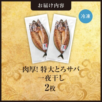 肉厚!特大とろサバ一夜干し　2枚セット_hs408-038