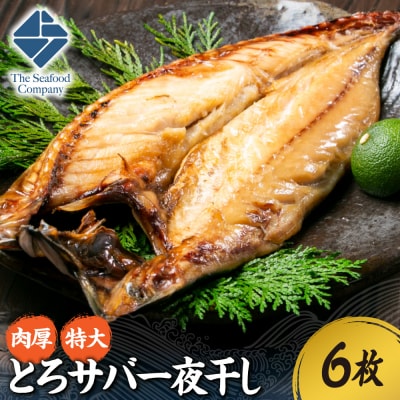 肉厚!特大とろサバ一夜干し　6枚セット_hs408-040