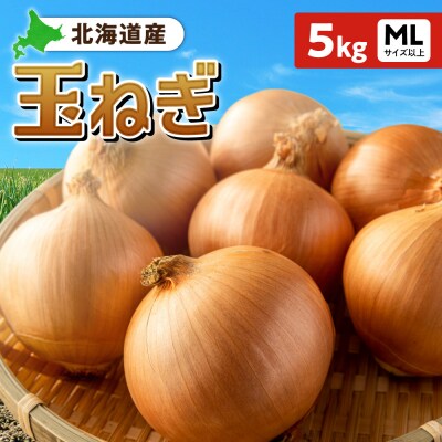 玉ねぎ 北海道産 5kg MLサイズ以上_hs362-003