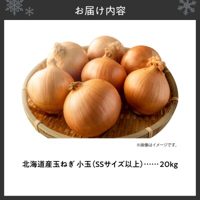 玉ねぎ 北海道産 小玉 20kg SSサイズ以上_hs362-010