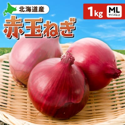 赤玉ねぎ 北海道産 1kg MLサイズ以上_hs362-011