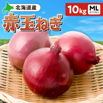 赤玉ねぎ 北海道産 10kg MLサイズ以上_hs362-014