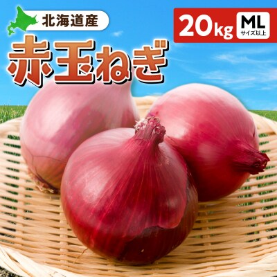 赤玉ねぎ 北海道産 20kg MLサイズ以上_hs362-015