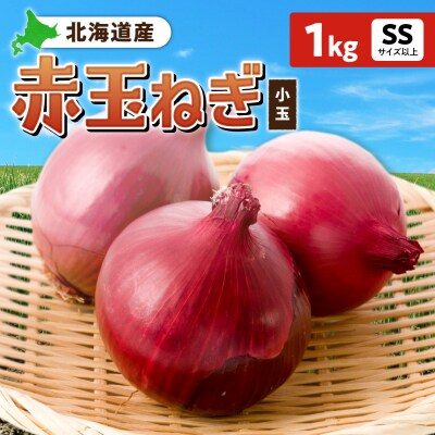 赤玉ねぎ 北海道産 小玉 1kg SSサイズ以上_hs362-016