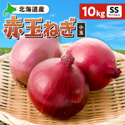赤玉ねぎ 北海道産 小玉 10kg SSサイズ以上_hs362-019