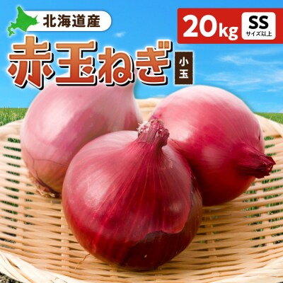 赤玉ねぎ 北海道産 小玉 20kg SSサイズ以上_hs362-020