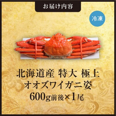北海道産特大極上オオズワイガニ姿　600g前後×1尾_hs408-016