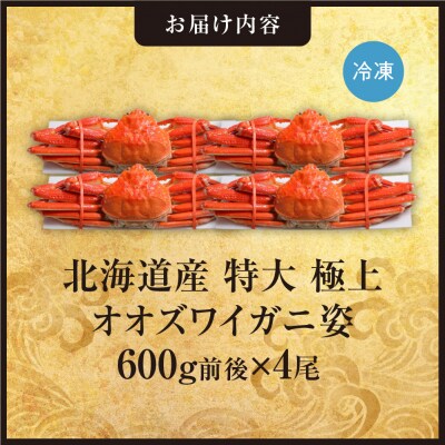 北海道産特大極上オオズワイガニ姿　600g前後×4尾_hs408-019
